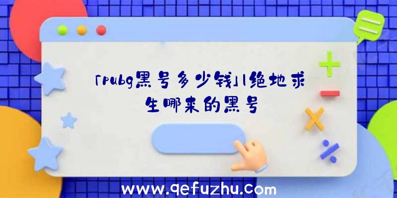 「pubg黑号多少钱」|绝地求生哪来的黑号